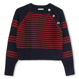 Navy and Red Knit Striped Sweater