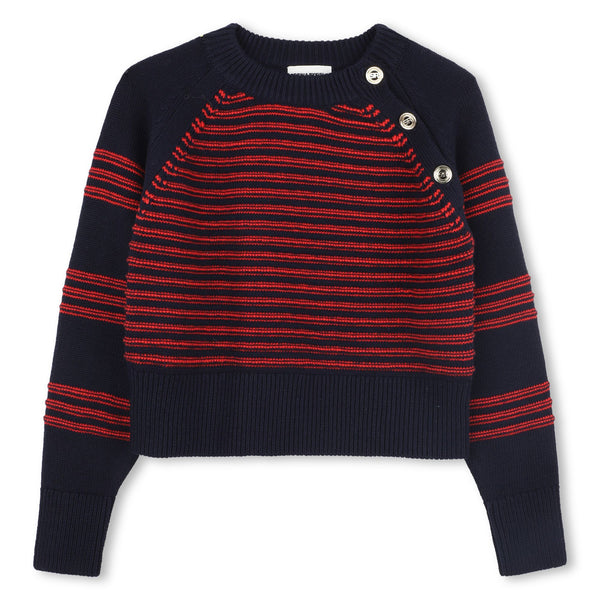 Navy and Red Knit Striped Sweater