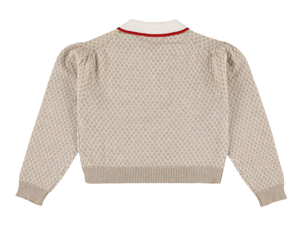 Stone Zug Wool Knit Polo