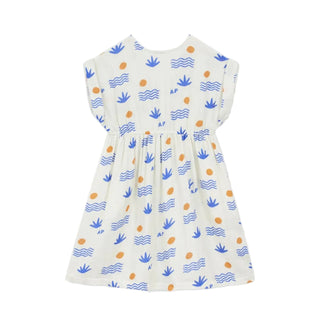 Cream and Blue Aloe Dress
