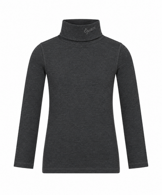 Grey Parni Turtleneck