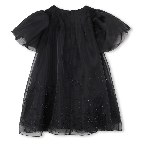 Black Organza Dress