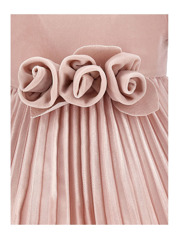 Light Pink Velvet Rose Waist Pleated Dress