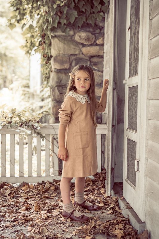 Camel Lace Collar Dress
