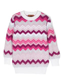 Purple Chevron Printed Knit Sweater