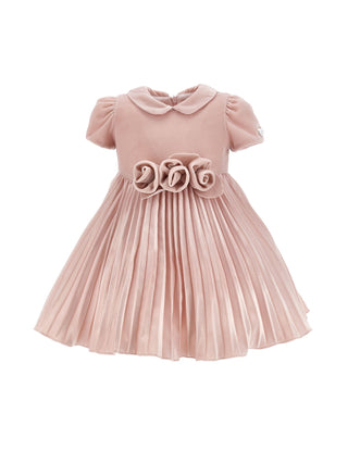 Light Pink Velvet Rose Waist Pleated Dress