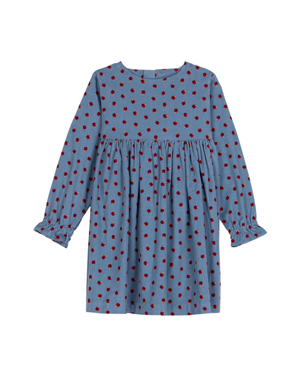 Blue and Red Apple Print Corduroy Dress