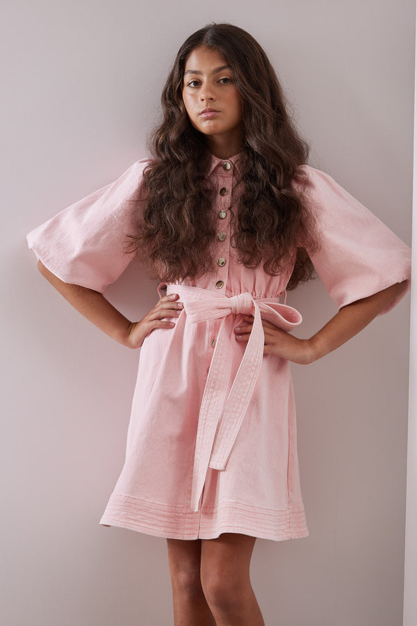 SPH Pink Denim Button Dress