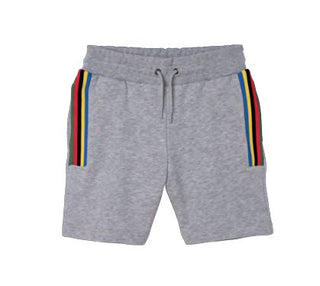 Grey Multi Stripes Shorts