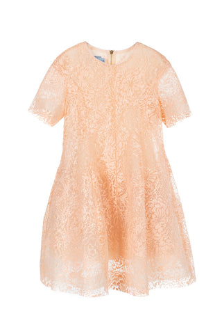 MMS Blush Floral Glitter Dress