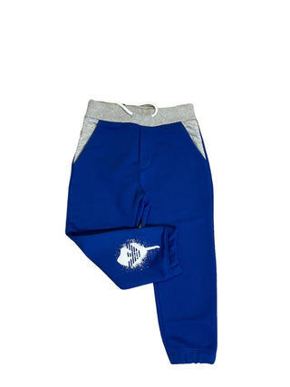 AJ Blue Colorblock Sweatpants