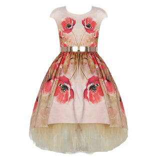 Poppy Print Party Dress