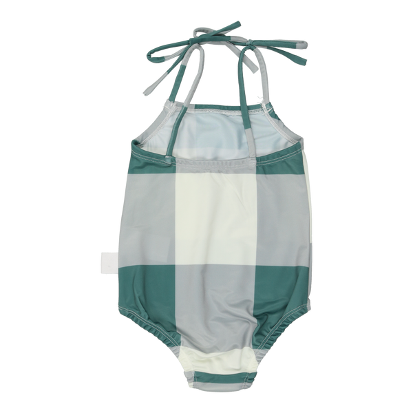 Sage Colorblock Swimsuit